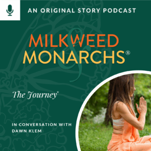 EP52 - The Journey
