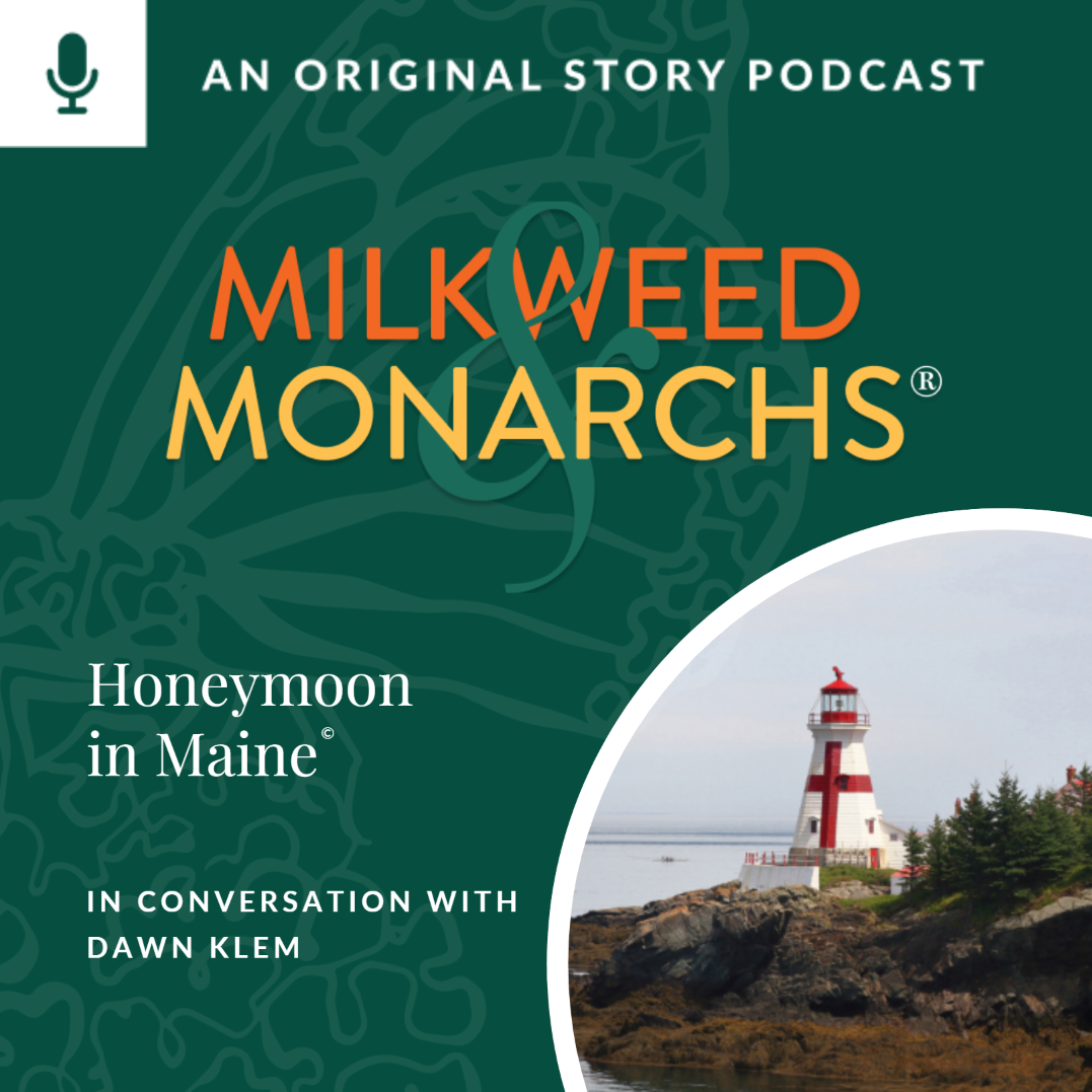 Speaker Image